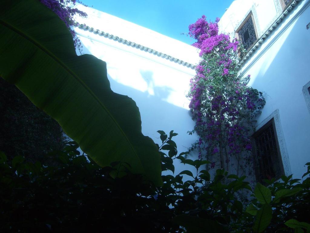 Jenai L'authentique Riad Marrakesch